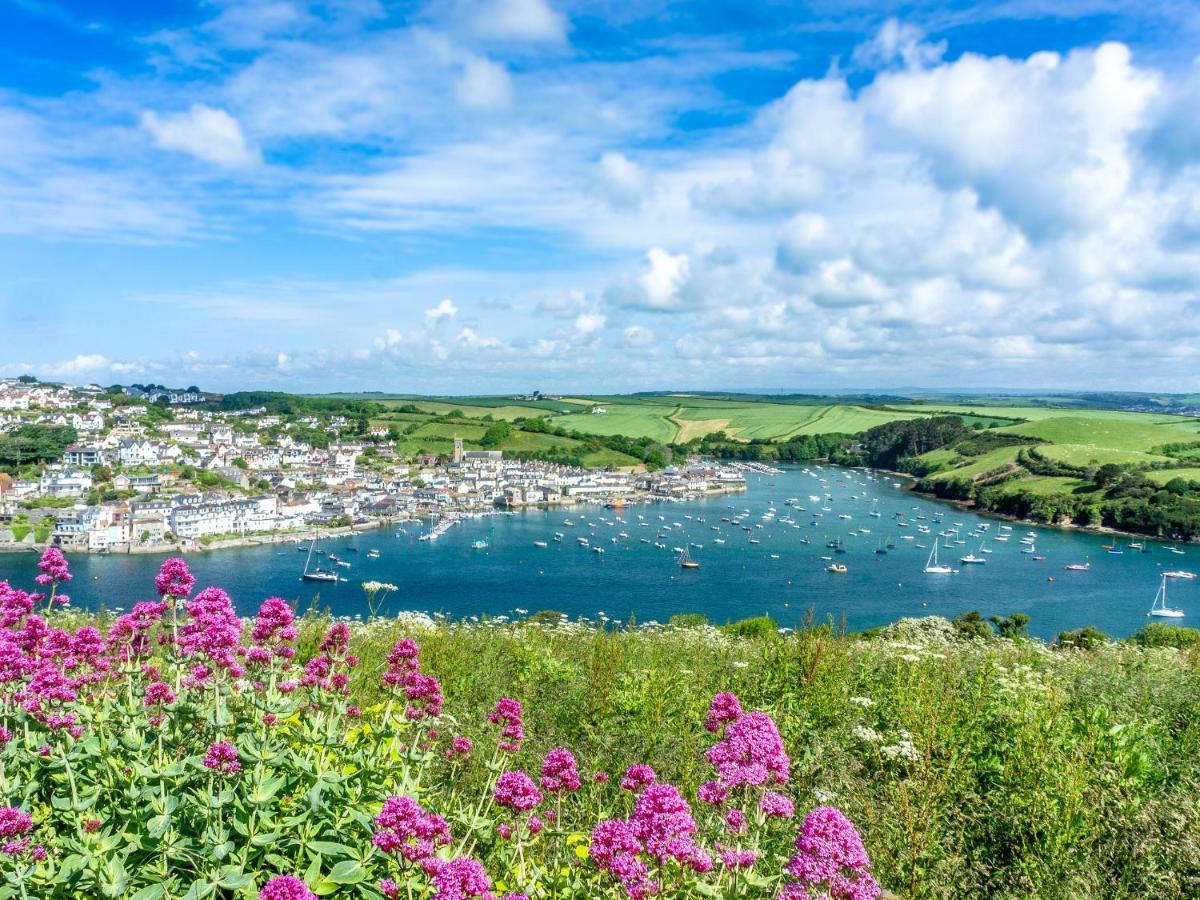 3 Top View Cottages Salcombe Bagian luar foto